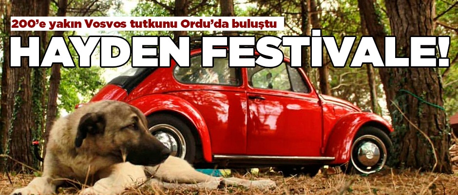 Wosvos Festivali başladı