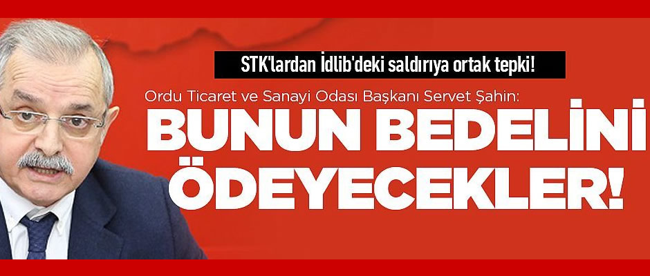 STK'lardan İdlib tepkisi