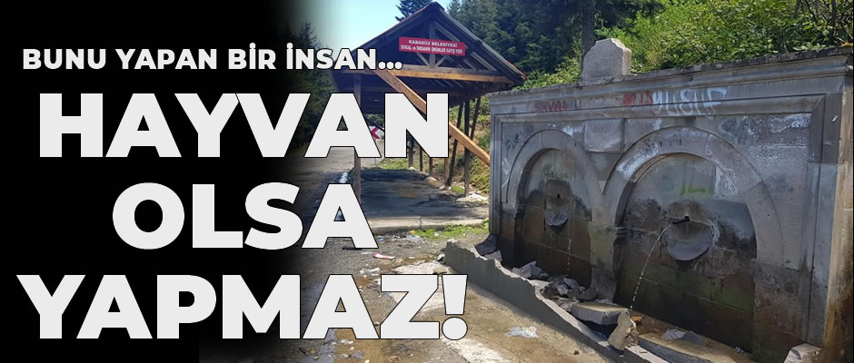 Bunu yapan insan..Hayvan olsa yapmaz!