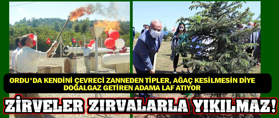 Ağaç kesmeyi en iyi bilen ve aynaya bakmaktan aciz tipler, ağaç kesilmemesi için Ordu’ya doğalgaz getiren adamı ağaç kesmekle suçluyor!