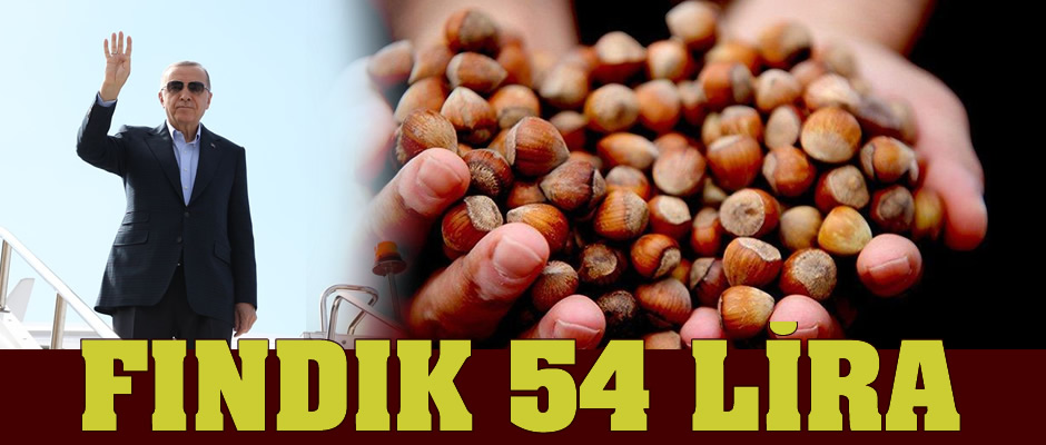 Fındık fiyatı 54 lira