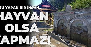 Bunu yapan insan..Hayvan olsa yapmaz!