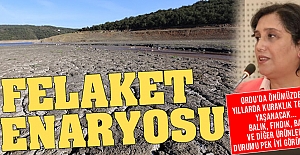 Ordu'da kuraklık olacak, balık, fındık, bal ürün deseni değişecek