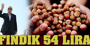 Fındık fiyatı 54 lira